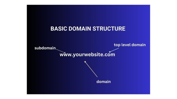 DOMAIN PLANS